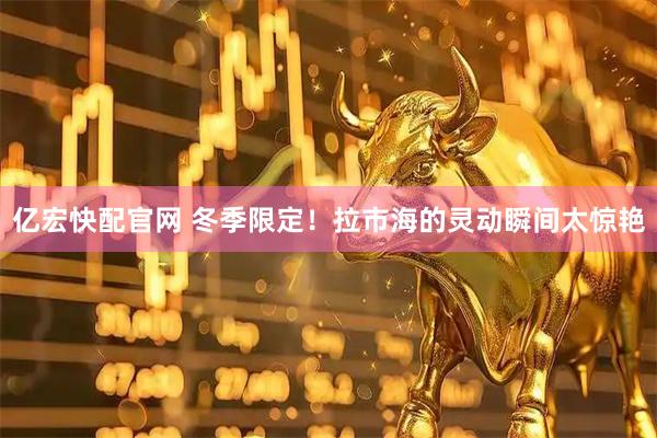 亿宏快配官网 冬季限定！拉市海的灵动瞬间太惊艳